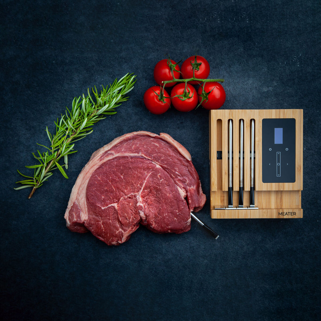 Block 4 Probe Wireless Meat Thermometer