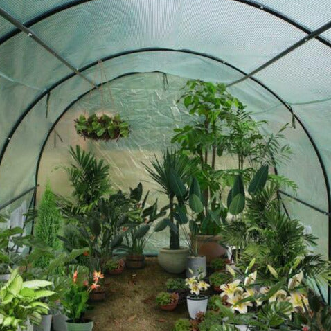 Waterproof Steel Frame Greenhouse Polytunnel