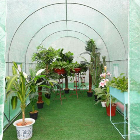 Garden Planting Shed Grown Walk in Greenhouse